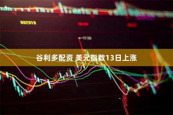 谷利多配资 美元指数13日上涨
