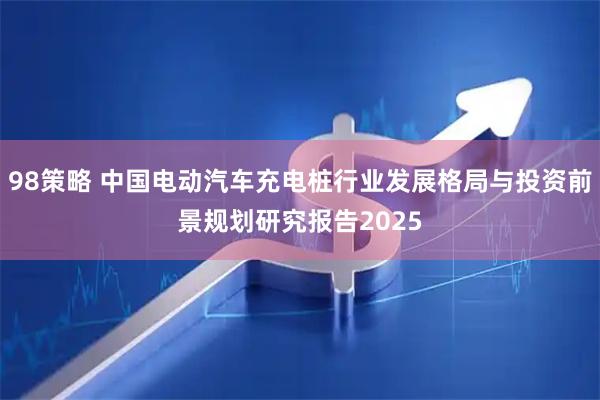 98策略 中国电动汽车充电桩行业发展格局与投资前景规划研究报告2025