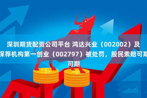 深圳期货配资公司平台 鸿达兴业（002002）及保荐机构第一创业（002797）被处罚，股民索赔可期